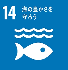 14 海の豊かさを守ろう