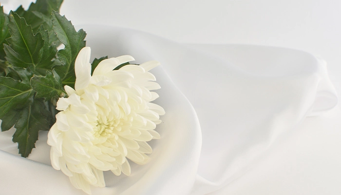 経験豊富な葬祭ディレクターが対応